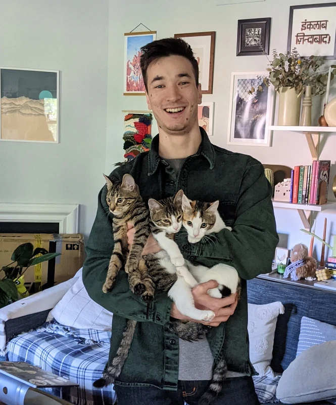 Ruihai with three cats